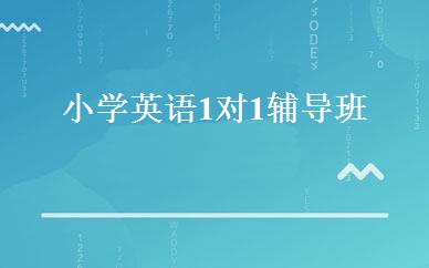 初一数学一对一精品课程 