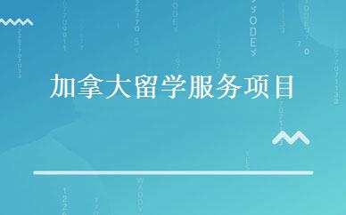 11-12岁逻辑思维大三达尔文班 
