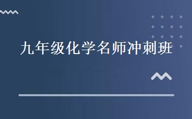 九年级化学名师冲刺班 