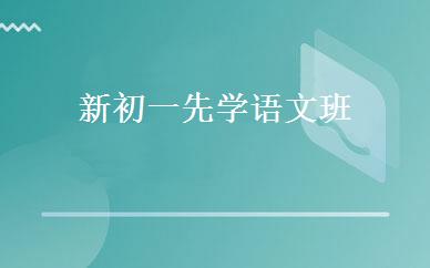 11-14岁少儿篮球精修班 