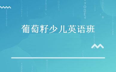 葡萄籽少儿英语班 