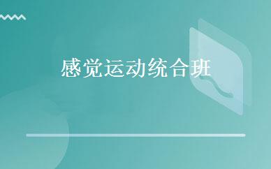 感觉运动统合班 