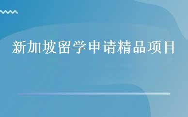 新加坡留学申请精品项目 