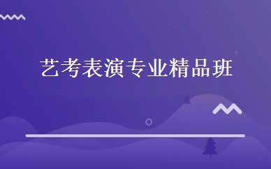 艺考表演专业精品班 