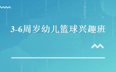 3-6周岁幼儿篮球兴趣班  