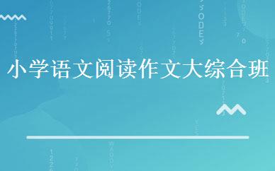 小学语文阅读作文大综合班 