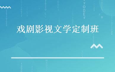 戏剧影视文学定制班 