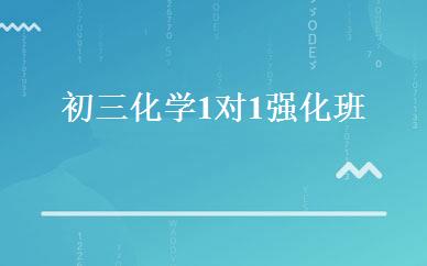 初三化学1对1强化班 