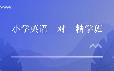 小学英语一对一精学班 