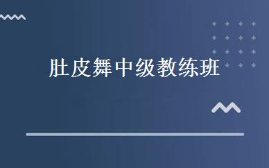 肚皮舞中级教练班 
