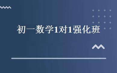 初一数学1对1强化班 
