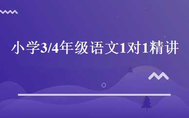 小学3/4年级语文1对1精讲班 