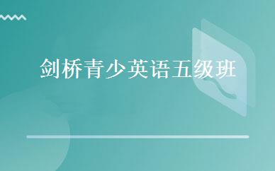 剑桥青少英语五级班 