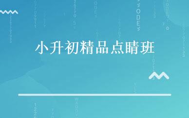 小升初精品点睛班 