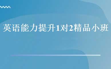 英语能力提升1对2精品小班 