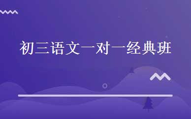 初三语文一对一经典班 