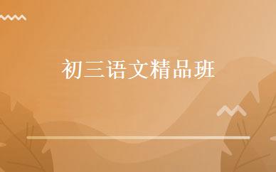 初三语文精品班 