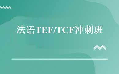 法语TEF/TCF冲刺班 