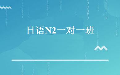日语N2一对一班 