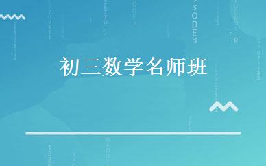 初三数学名师班 