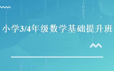 小学3/4年级数学基础提升班 