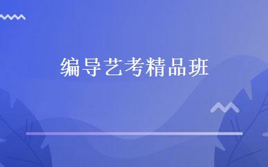 编导艺考精品班 