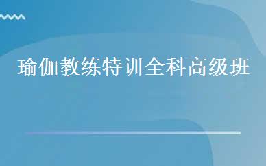 瑜伽教练特训全科高级班 