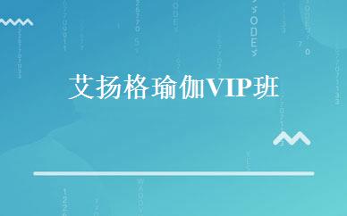 艾扬格瑜伽VIP班 