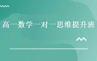高一数学一对一思维提升班 