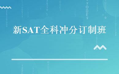 新SAT全科冲分订制班 