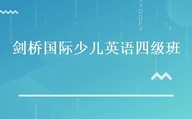 剑桥国际少儿英语四级班 