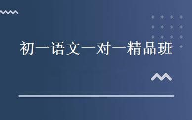 初一语文一对一精品班 
