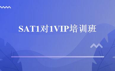 SAT1对1VIP培训班 