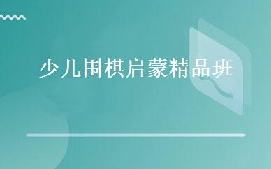 少儿围棋启蒙精品班 