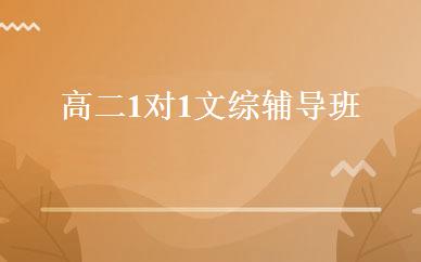 高二1对1文综辅导班 
