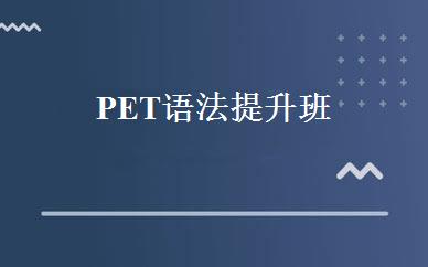 PET语法提升班 