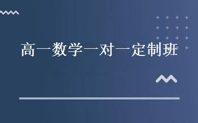 高一数学一对一定制班 