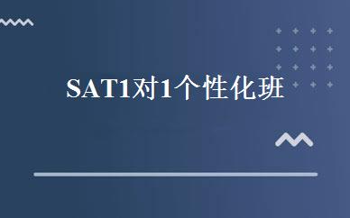 SAT1对1个性化班 
