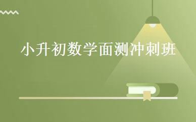 小升初数学面测冲刺班 