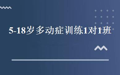 5-18岁多动症训练1对1班 