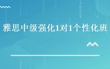 雅思中级强化1对1个性化班 