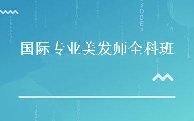 国际专业美发师全科班 
