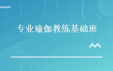 专业瑜伽教练基础班 