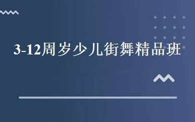 3-12周岁少儿街舞精品班 