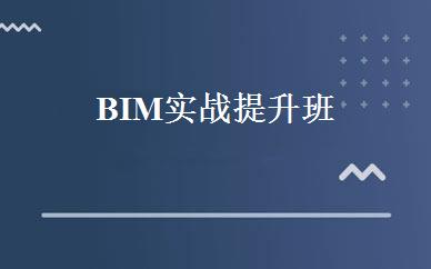 BIM实战提升班 