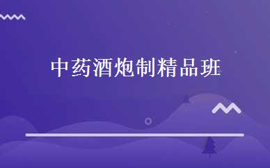 中药酒炮制精品班 