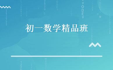 初一数学精品班 