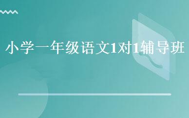 小学一年级语文1对1辅导班 
