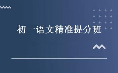 初一语文精准提分班 