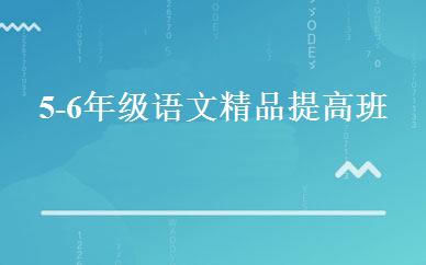 5-6年级语文精品提高班 